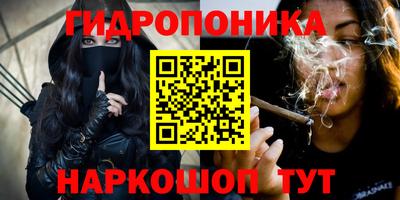 apvp Лесосибирск